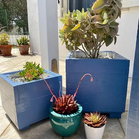 Taliaka فندق مبيت وإفطار ليباري