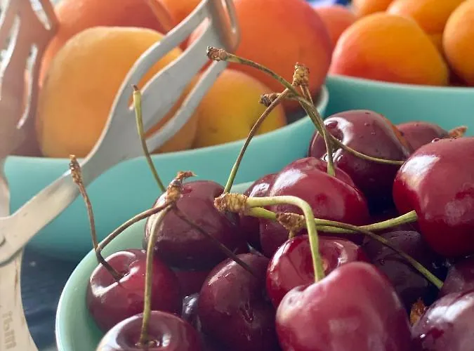 Taliaka Nocleg ze śniadaniem 4*