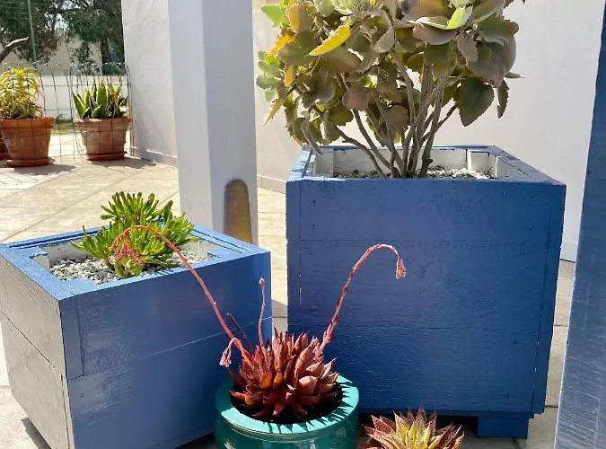 Taliaka Nocleg ze śniadaniem Lipari (Isola Lipari)